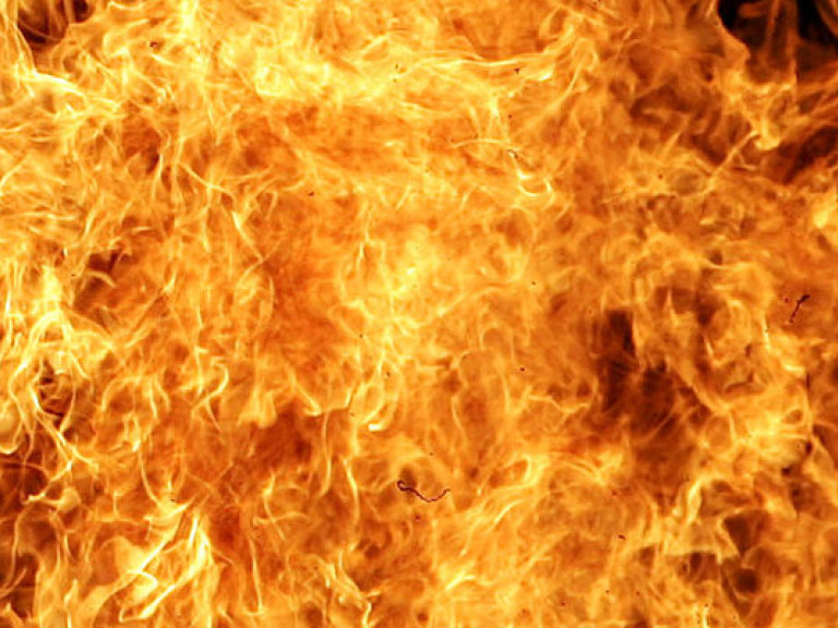 На Черниговщине пожар в частном доме унес жизни двух человек