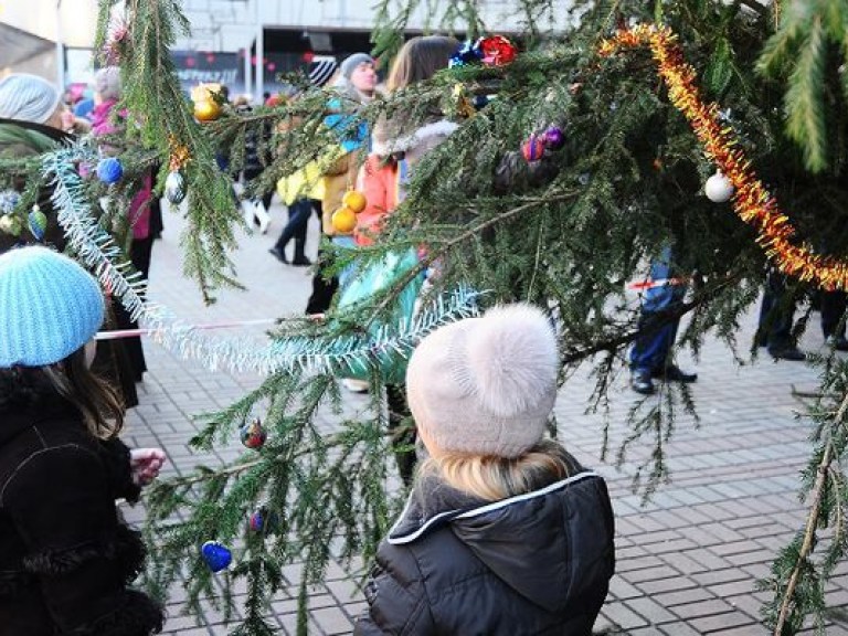 В Ялте новогодние елки будут выдавать напрокат