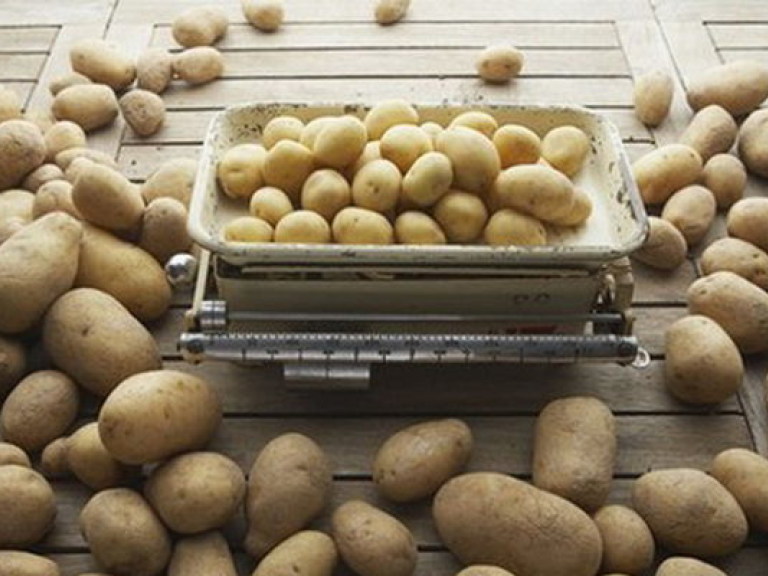 Картофель может быть прекрасным диетическим продуктом &#8212; медики
