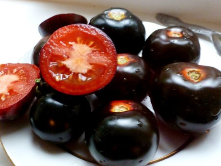 Ученые вырастили фиолетовый помидор, который спасает от рака (ФОТО)