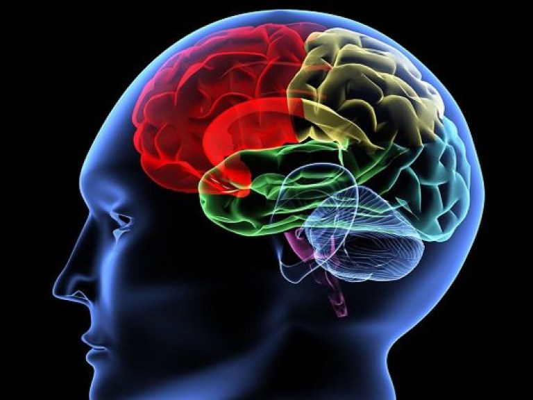 В человеческом мозге найдена «зона совести»