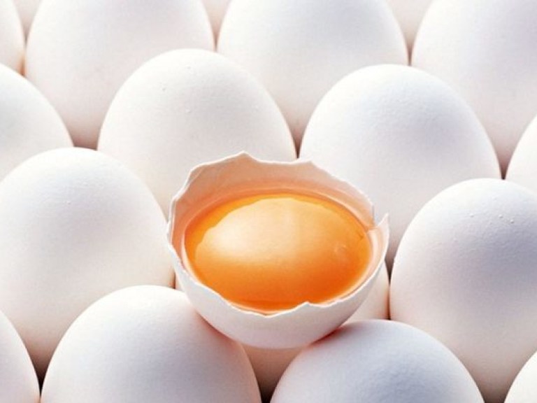 В минувшем году в Украине снесли почти 20 миллиардов яиц