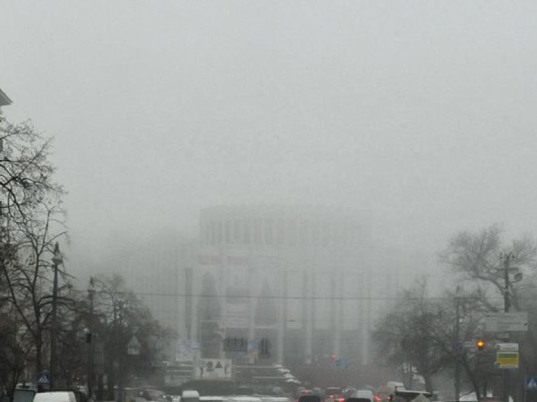 Прогноз погоды на 14 февраля: Туман и небольшие дожди