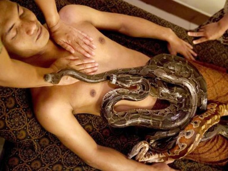 В Кривом Роге предлагают новый вид релаксации &#8212; массаж змеями (ВИДЕО)