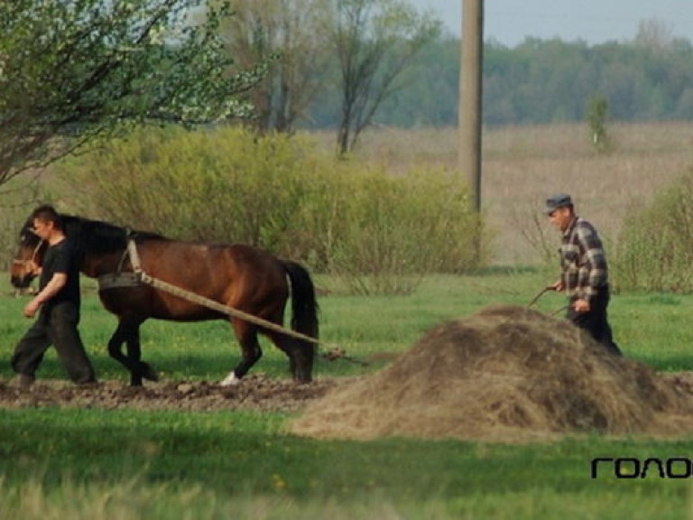Посевную будут спасать форвардные контракты