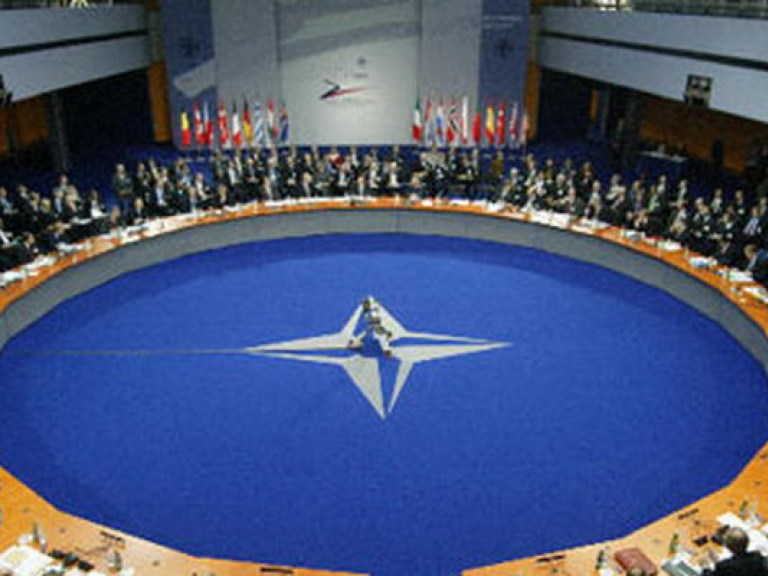 Яценюк: Вопрос о вступлении Украины в НАТО не стоит на повестке дня