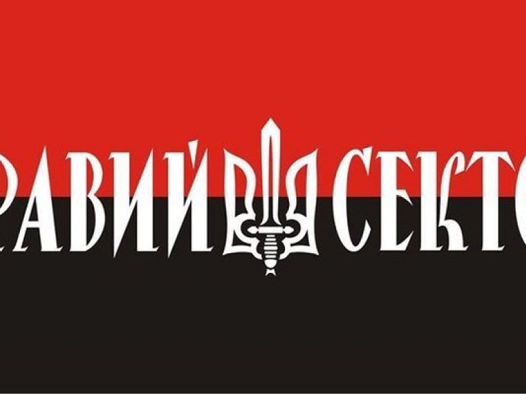 «Правый сектор» стал политической партией