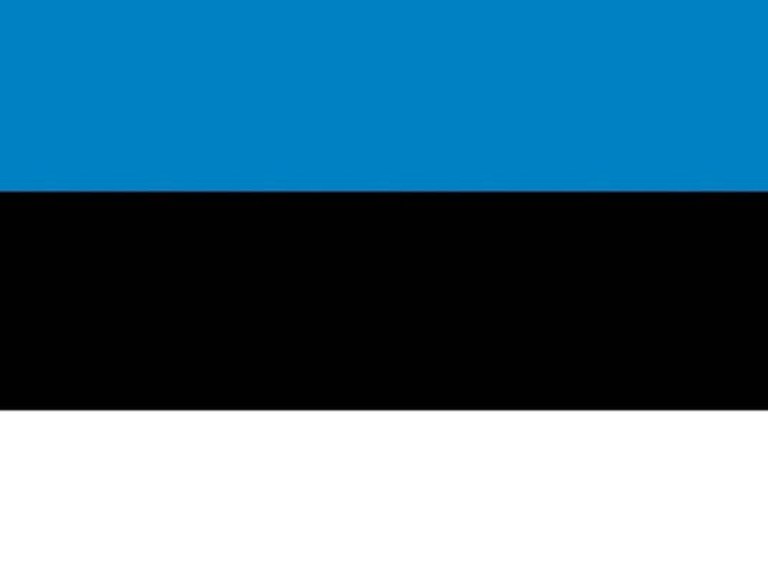 Эстония не боится повторения крымского сценария на своей территории- Каннике