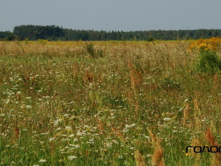 Аграриям придется пересеять всего 2% озимых – эксперт
