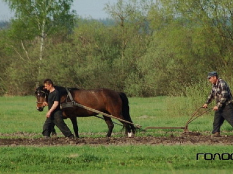 Посевная-2014 проходит стремительными темпами – эксперт