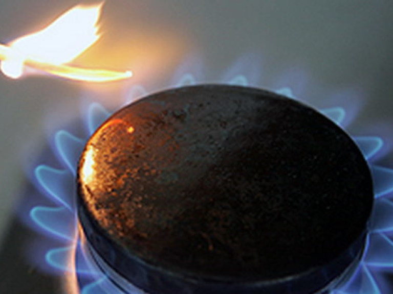Субсидии на газ не будут «работать» в условиях теневой экономики &#8212; Александровская