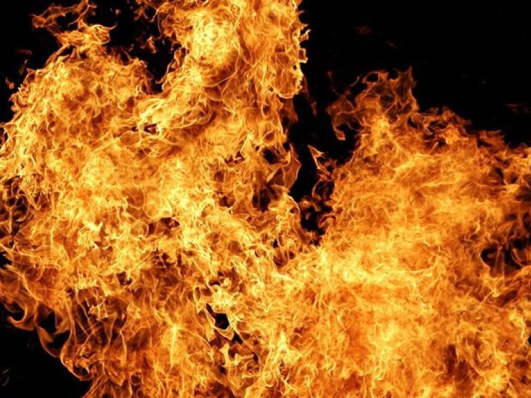 За минувшие сутки в Украине произошло 313 пожаров
