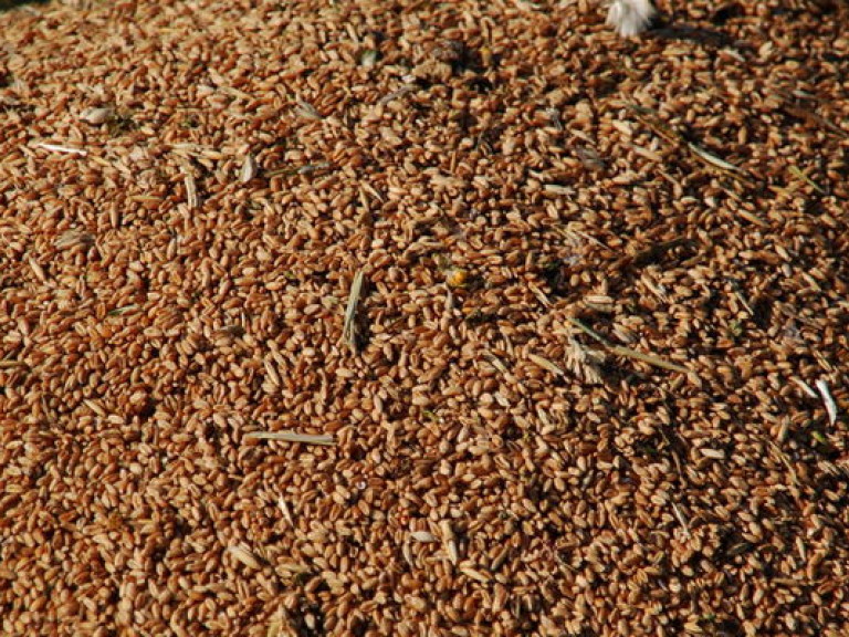 По данным на 1 апреля в «закромах Родины» хранилось свыше 12 миллионов тонн зерна &#8212; Госстат