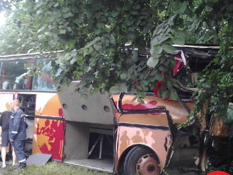 В Прилуках водитель столкнулся с деревом, погибли 4 человека