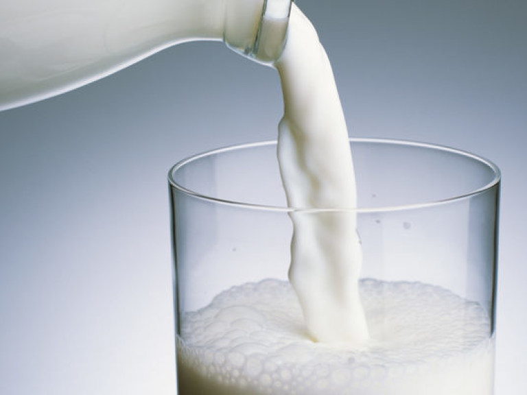 Молоко вредит кишечнику – врачи