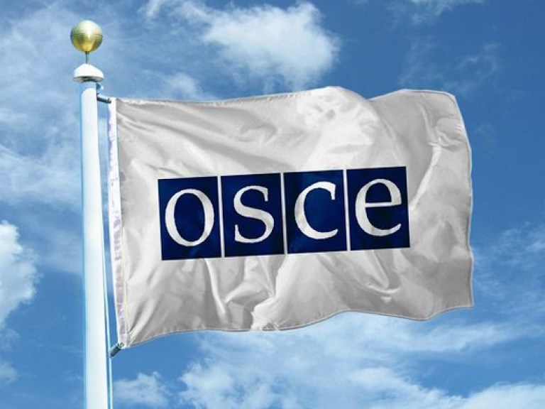 ОБСЕ направит рекордное число наблюдателей на президентские выборы в Украине- эксперт