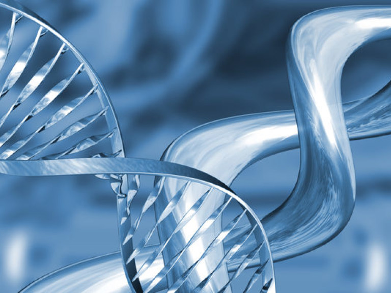 Ученые обнаружили поразительное сходство в ДНК супругов (ВИДЕО)