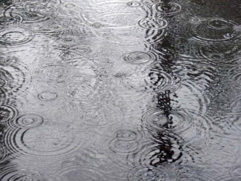 Синоптик: Дожди и грозы никак не угомонятся