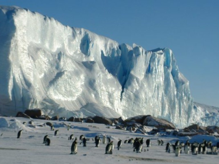 Каждый год в Антарктиде тает 159 миллиардов тонн льда