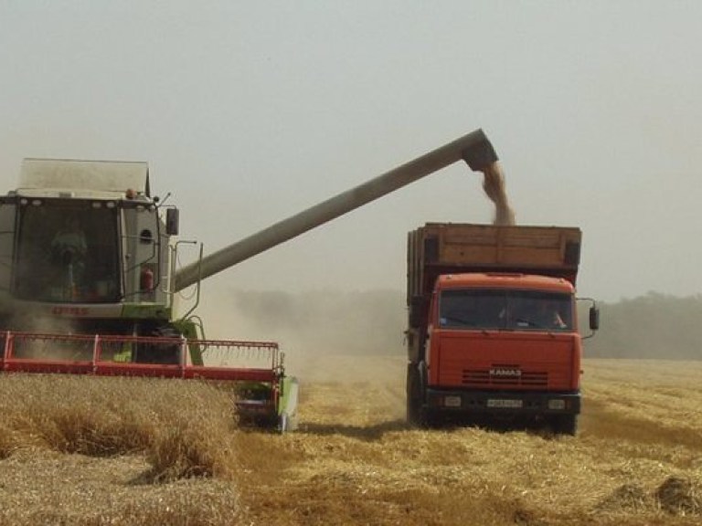 В этом году мы планируем собрать до 62 млн. тонн зерновых – Клименко