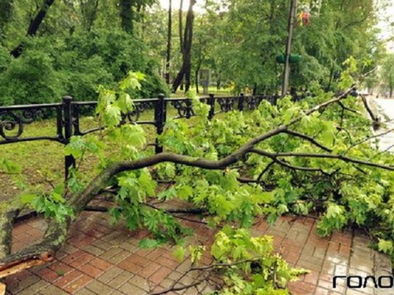 8 июня в Украине объявлено штормовое предупреждение