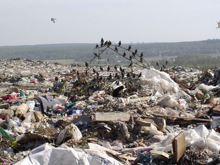 КГГА пытается привлечь инвесторов к утилизации мусора в столице
