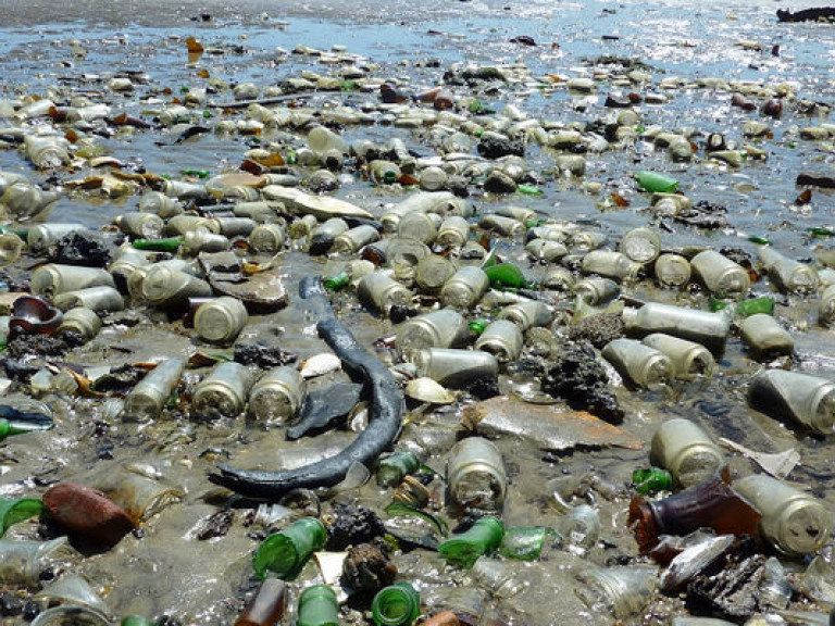 Самая актуальная общемировая экологическая проблема – это мусор