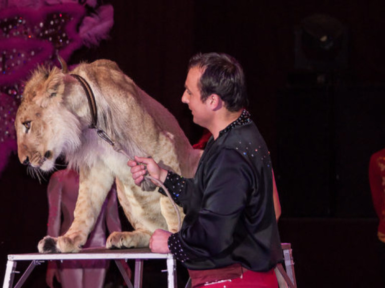 В Мексике окончательно запретили животных в цирке