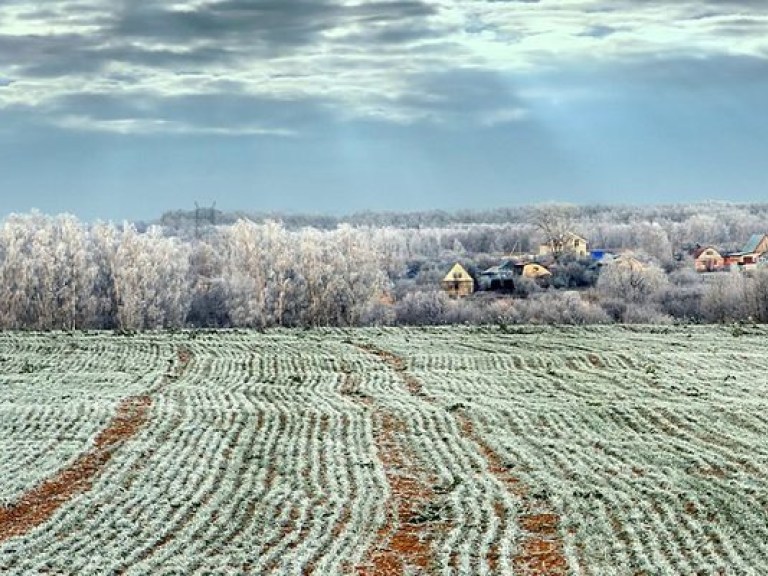 С начала 2014 Украина экспортировала 31,6 млн. тонн зерна