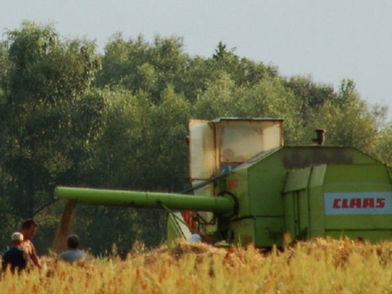 В 2014 году украинские аграрии рассчитывают засеять 27,7 млн. гектаров