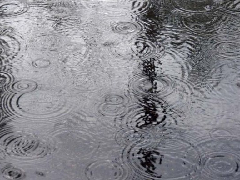 Завтра на всей территории Украины пройдут дожди