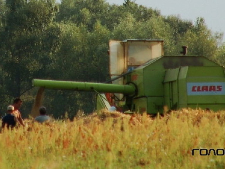 По состоянию на 1 июня зерновыми засеяно почти 20 миллионов гектаров