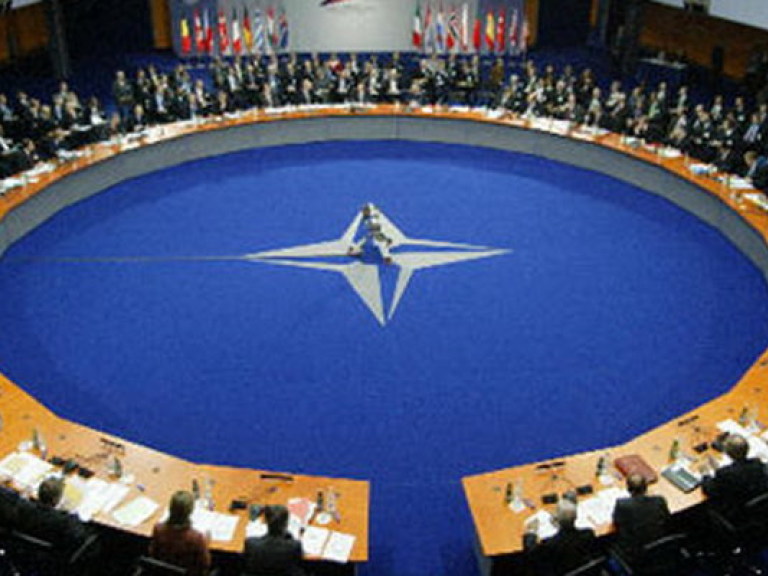 Симоненко: Решение о вступлении Украины в НАТО на долгие годы превратит страну во взрывоопасную точку напряжения