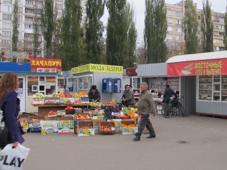 Киевляне должны сами решать, где устанавливать МАФы и кому выделять землю &#8212; эксперт