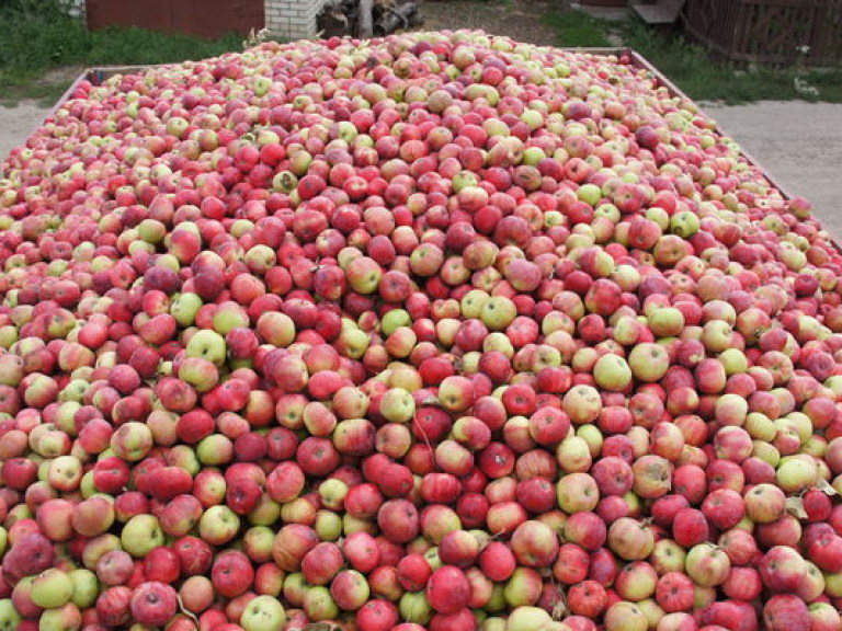 Украина наращивает экспорт соков