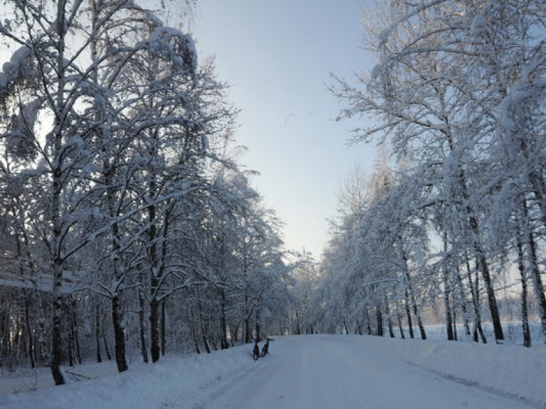 Зимние каникулы 2015: где отдохнуть в Украине?