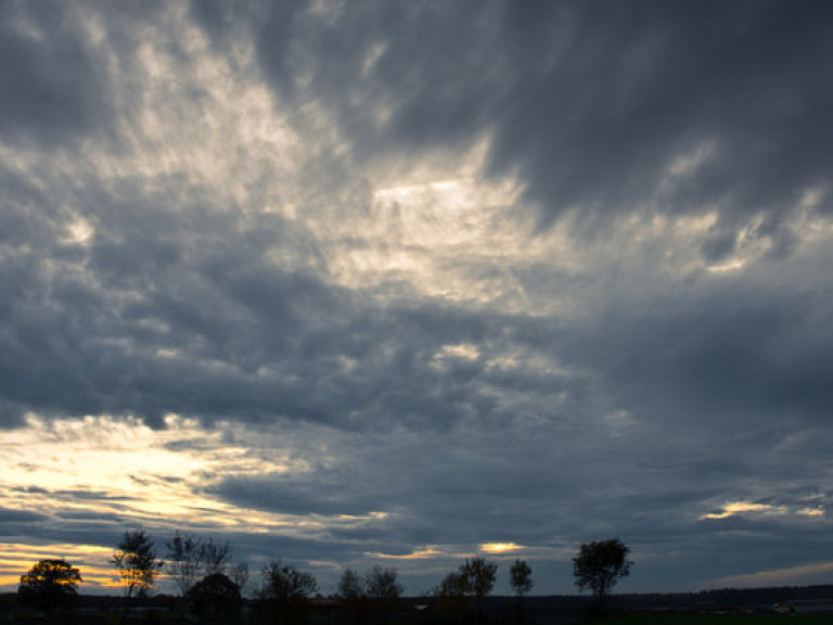 Синоптик: Погоду 14 ноября определяет северный антициклон
