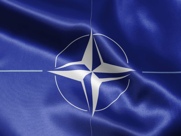 Эксперт: Заявления коалиции о вступлении в НАТО – это политтехнология