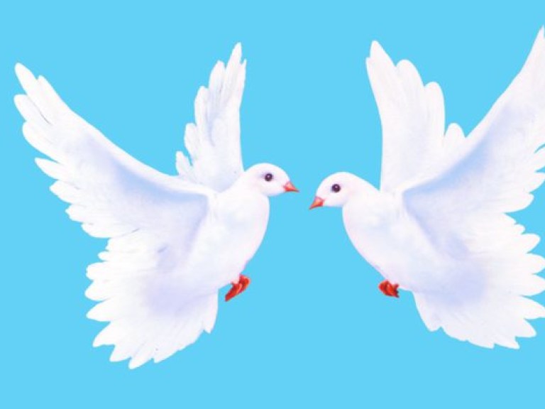Главную елку страны украсили 2015 «голубей мира»