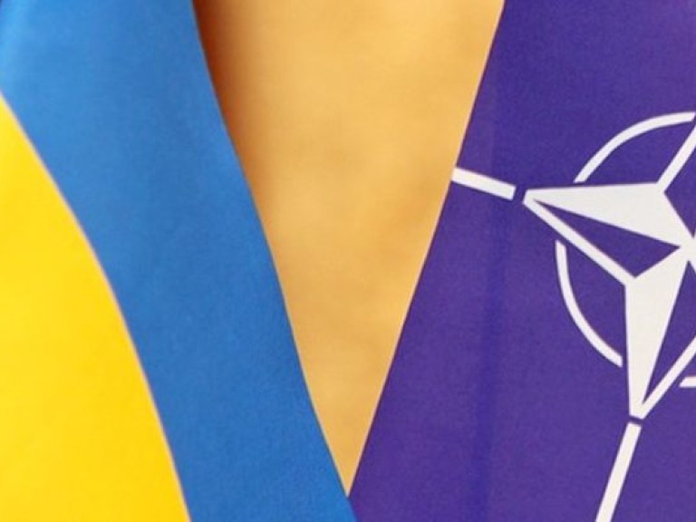 В НАТО не намерены в ближайшее время принимать Украину в свой состав — генсек Альянса