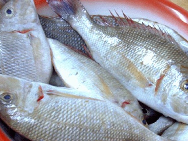 Эксперт: Рыбная отрасль Украины – под угрозой уничтожения