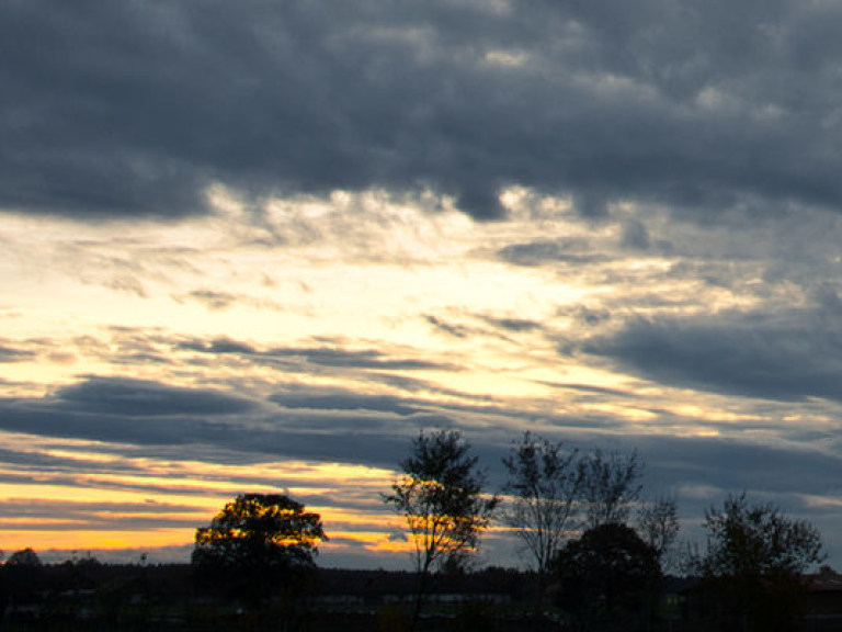 Погода на 16 января: днем в Украине — без осадков