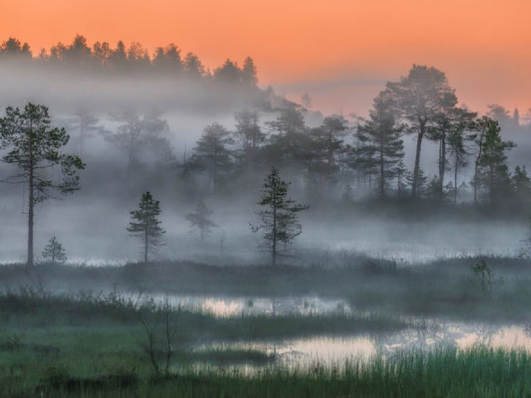В ГАИ предупредили о сильном гололёде и туманах на дорогах