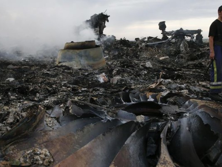 В конце января нидерландские эксперты вернутся на место крушения «Боинга-777» на Донбассе