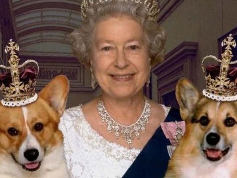 Королева Великобритании боится своих собак