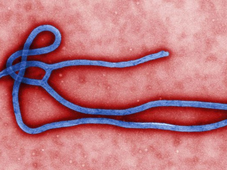 В ООН одобрили производство 15-минутного теста для выявления Эболы