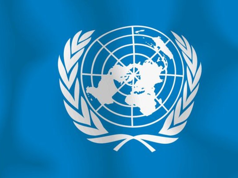В ООН назвали неадекватными ряд действий украинских властей