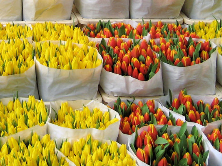 За одну ночь цветы в Киеве подорожали на 30%