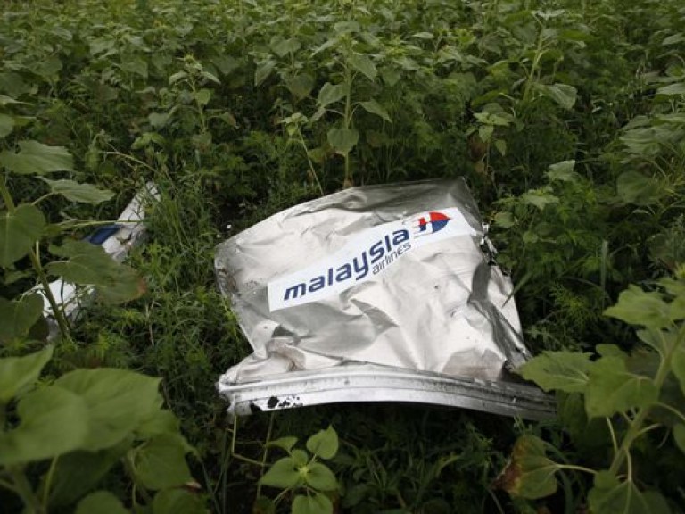Нидерланды опубликовали большую часть документов о крушении Boeing на Донбассе &#8212; СМИ