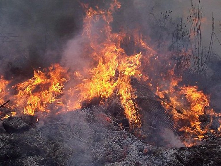 За сутки в Украине произошло 420 пожаров